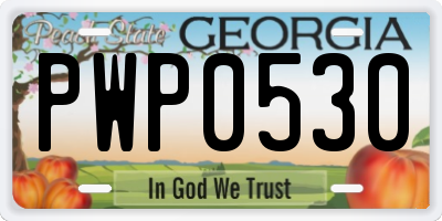 GA license plate PWP0530