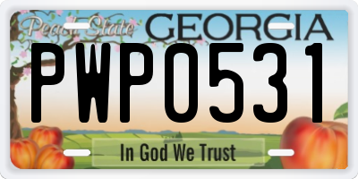 GA license plate PWP0531