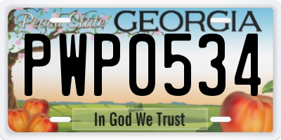 GA license plate PWP0534