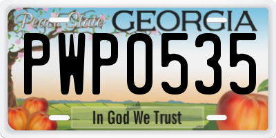 GA license plate PWP0535