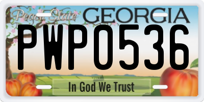 GA license plate PWP0536