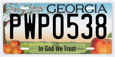 GA license plate PWP0538