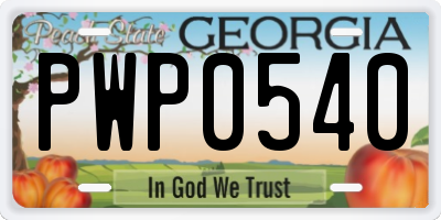 GA license plate PWP0540