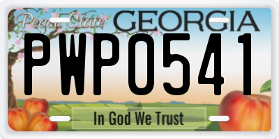 GA license plate PWP0541