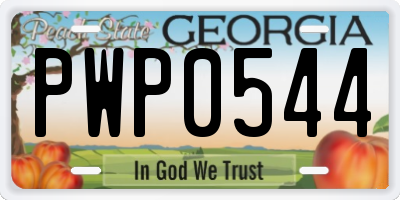 GA license plate PWP0544