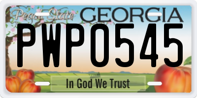 GA license plate PWP0545