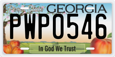 GA license plate PWP0546