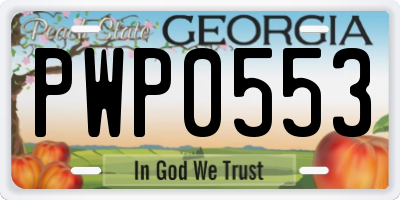 GA license plate PWP0553