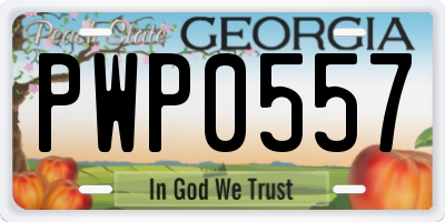 GA license plate PWP0557