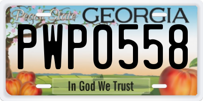 GA license plate PWP0558