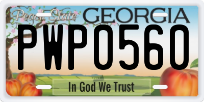 GA license plate PWP0560