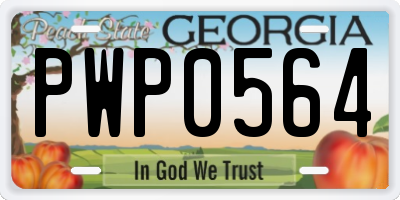 GA license plate PWP0564