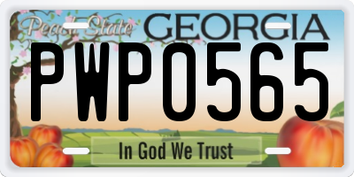 GA license plate PWP0565