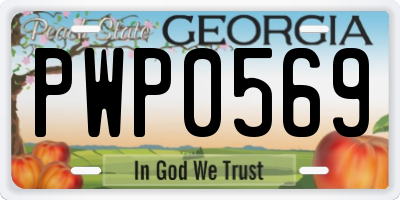 GA license plate PWP0569