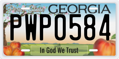 GA license plate PWP0584