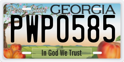 GA license plate PWP0585