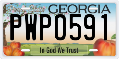 GA license plate PWP0591