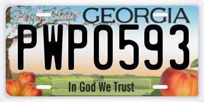 GA license plate PWP0593