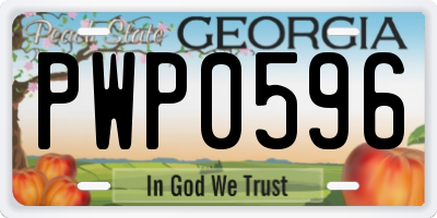 GA license plate PWP0596
