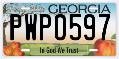 GA license plate PWP0597