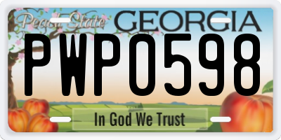 GA license plate PWP0598