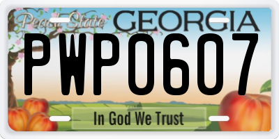 GA license plate PWP0607