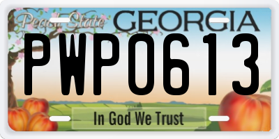 GA license plate PWP0613
