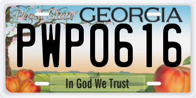 GA license plate PWP0616