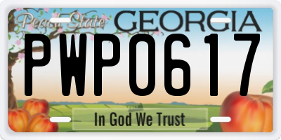 GA license plate PWP0617
