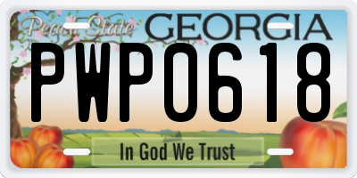 GA license plate PWP0618