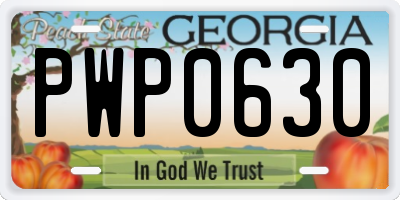 GA license plate PWP0630
