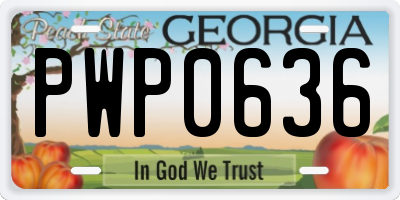GA license plate PWP0636