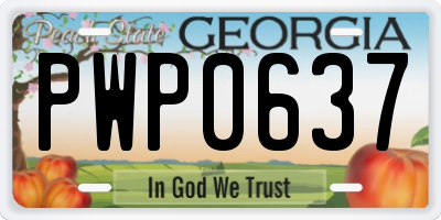 GA license plate PWP0637