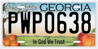 GA license plate PWP0638