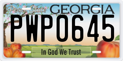 GA license plate PWP0645