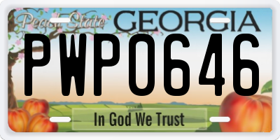 GA license plate PWP0646
