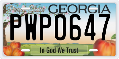 GA license plate PWP0647