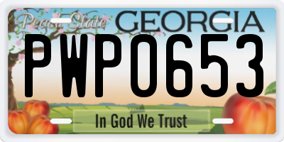 GA license plate PWP0653