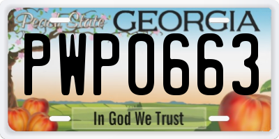 GA license plate PWP0663
