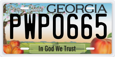 GA license plate PWP0665