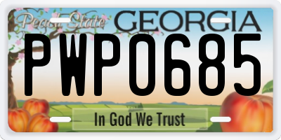 GA license plate PWP0685