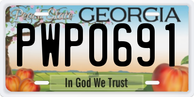 GA license plate PWP0691