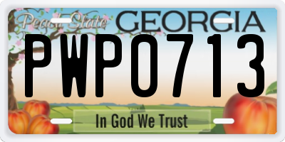 GA license plate PWP0713