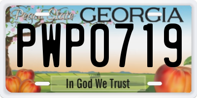 GA license plate PWP0719