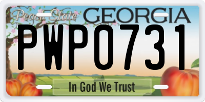 GA license plate PWP0731