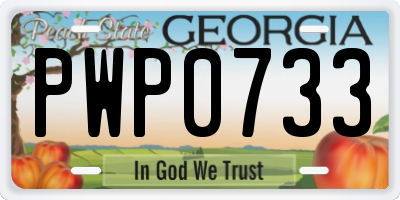 GA license plate PWP0733