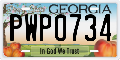 GA license plate PWP0734