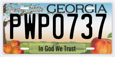 GA license plate PWP0737