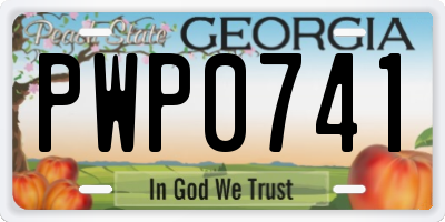GA license plate PWP0741