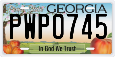 GA license plate PWP0745